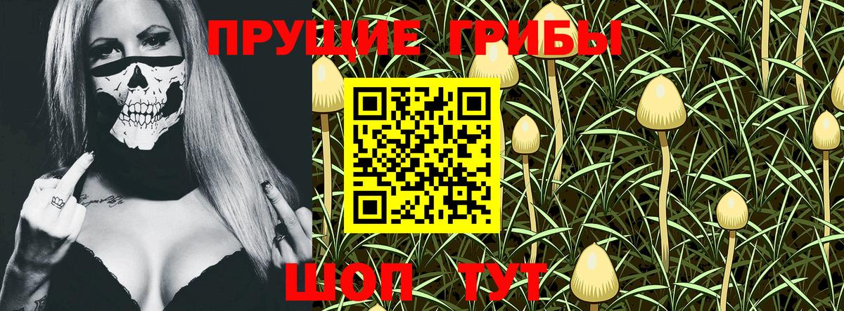 Псилоцибиновые грибы GOLDEN TEACHER  Вход с VPN  Октябрьский 